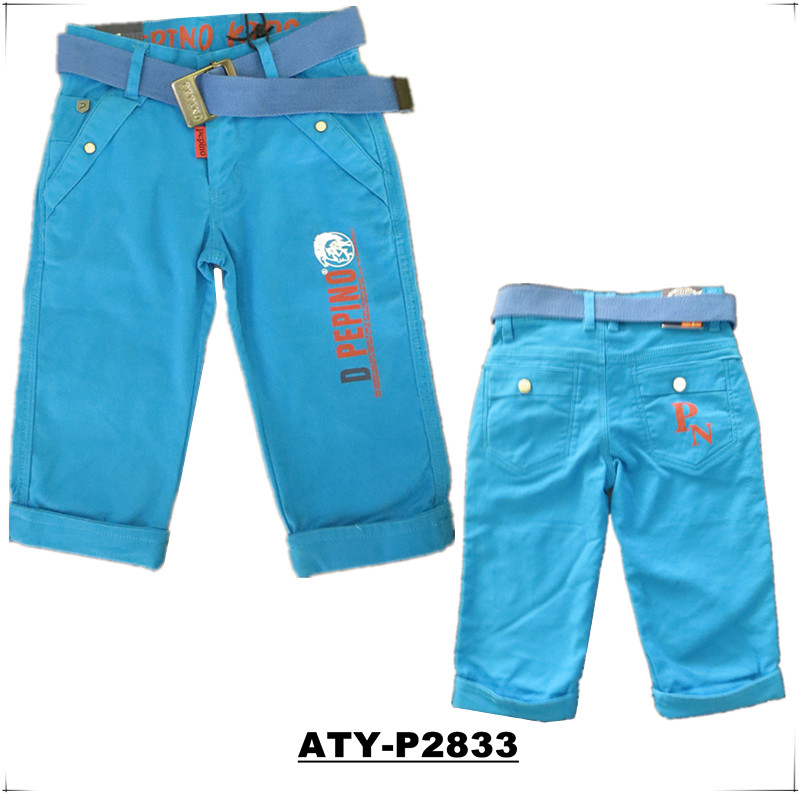 ATY-P2833